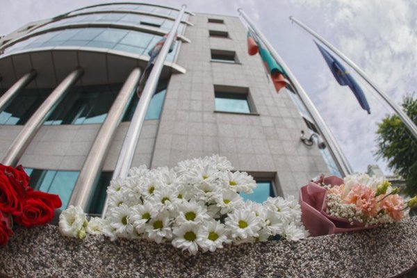 Снимка: Димитър Кьосемарлиев, Dnes.bg