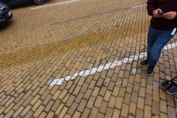 Снимка: Димитър Кьосемарлиев, Dnes.bg