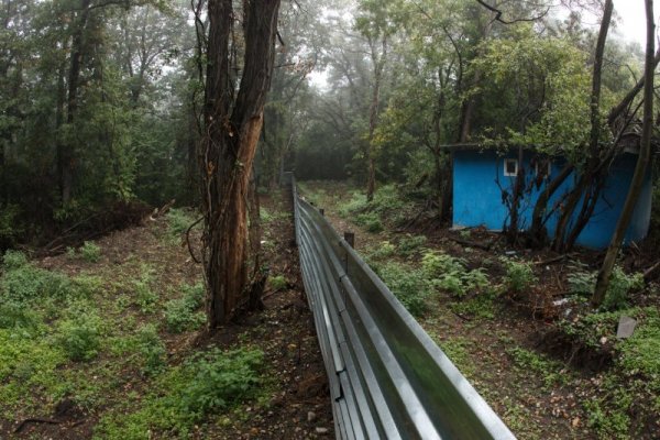 Снимка: Димитър Кьосемарлиев, Dnes.bg