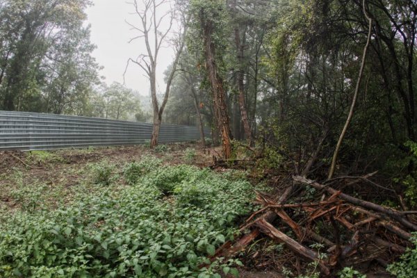 Снимка: Димитър Кьосемарлиев, Dnes.bg