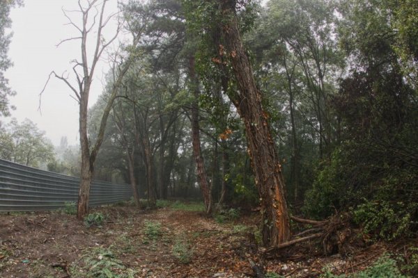 Снимка: Димитър Кьосемарлиев, Dnes.bg