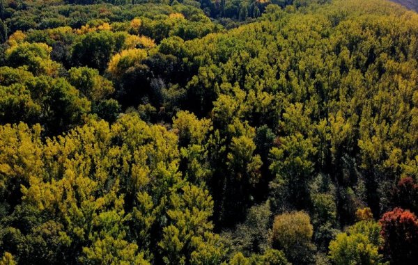 Още красота от българската природа. Снимка: БГНЕС