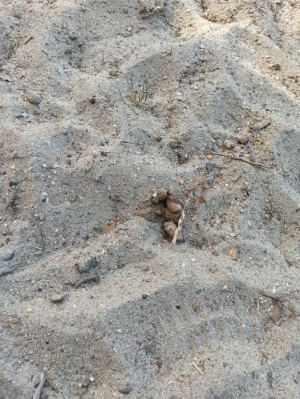 Снимка: HelpBook