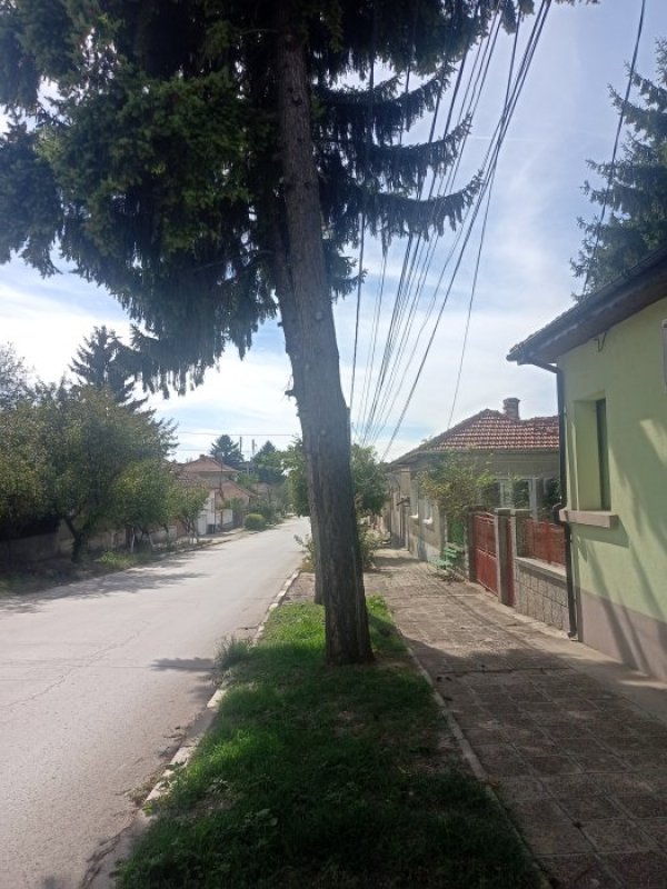 Снимка: HelpBook