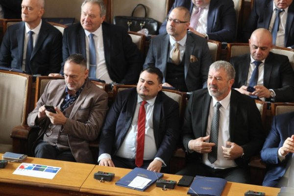Снимка: Димитър Кьосемарлиев, Dnes.bg