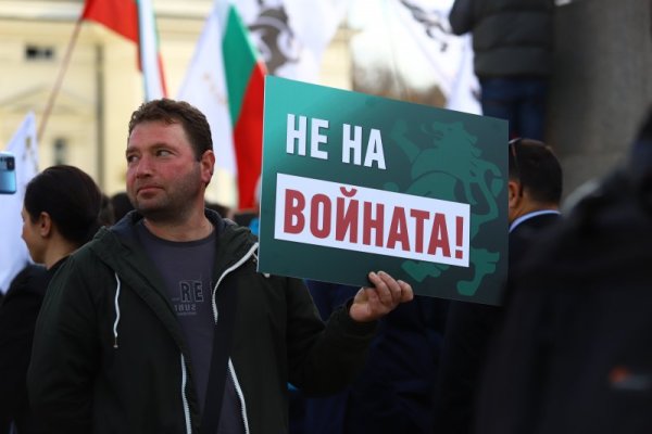 Снимка: БГНЕС