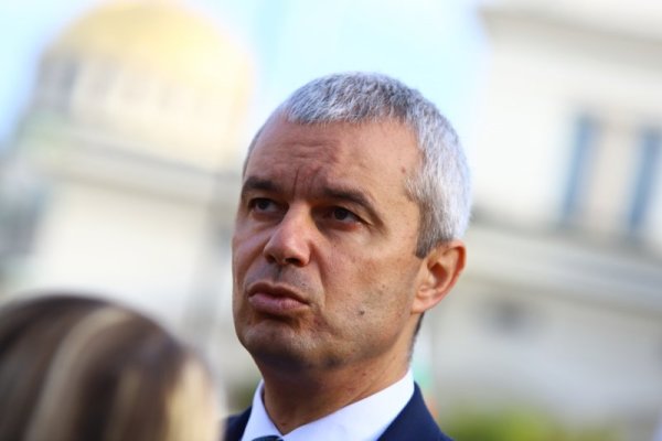 Снимка: БГНЕС