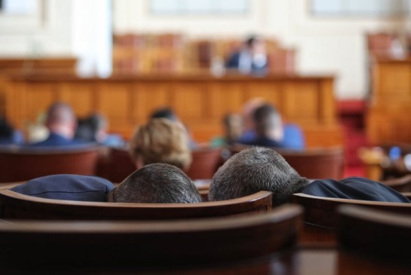 Снимка: Димитър Кьосемарлиев, Dnes.bg