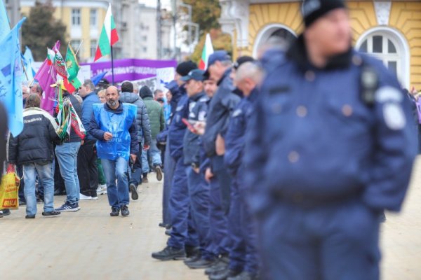 Снимка: Димитър Кьосемарлиев, Dnes.bg