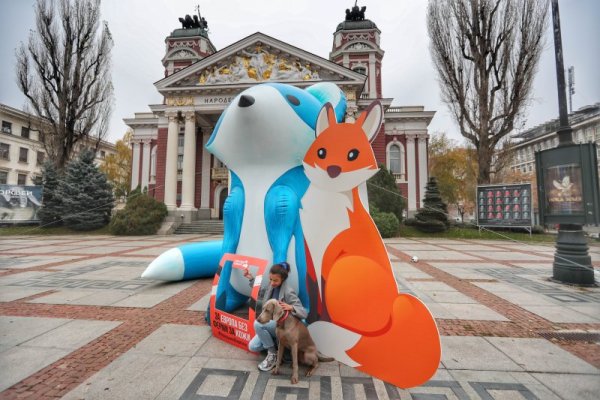 Снимка: Димитър Кьосемарлиев, Dnes.bg
