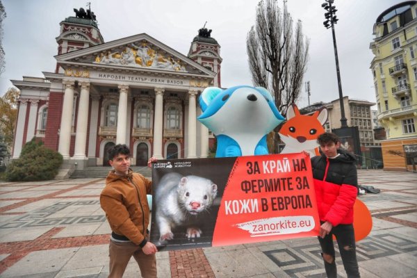 Снимка: Димитър Кьосемарлиев, Dnes.bg