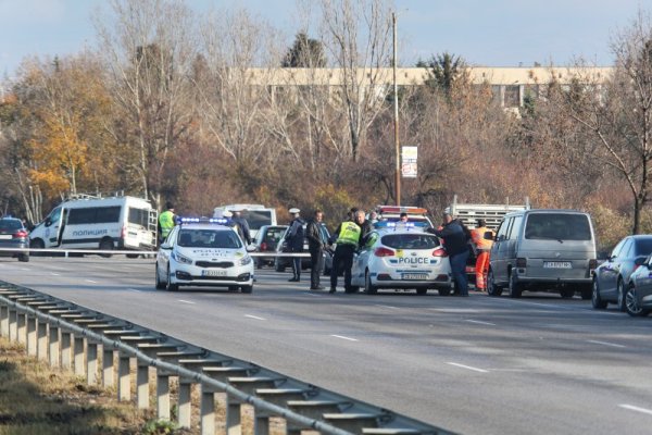 Снимка: Димитър Кьосемарлиев, Dnes.bg