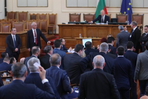 Снимка: Димитър Кьосемарлиев, Dnes.bg