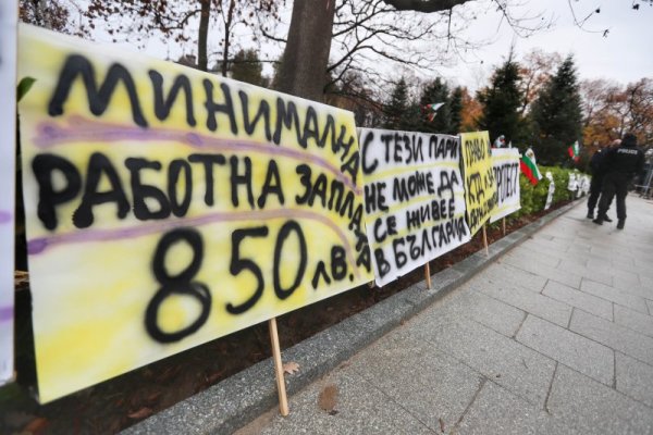 Снимка: Димитър Кьосемарлиев, Dnes.bg