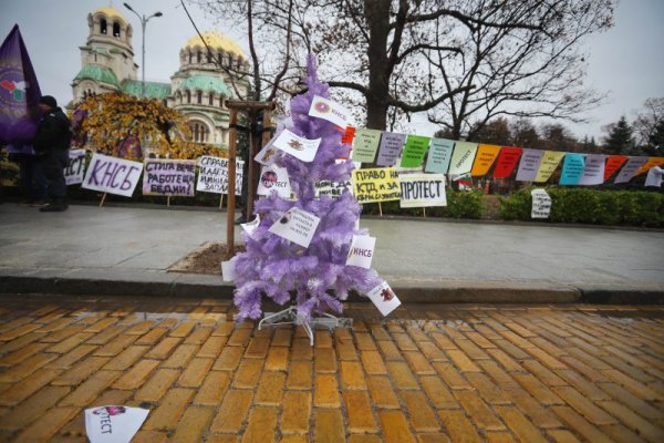Снимка: Димитър Кьосемарлиев, Dnes.bg