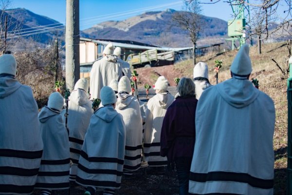 Снимка: Димитър Кьосемарлиев, Dnes.bg
