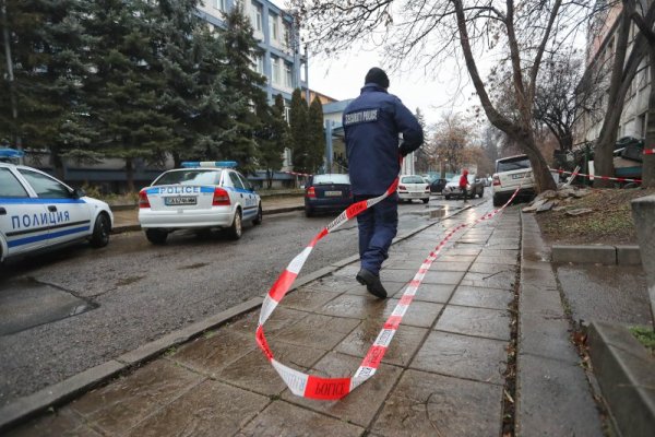 Снимка: Димитър Кьосемарлиев, Dnes.bg