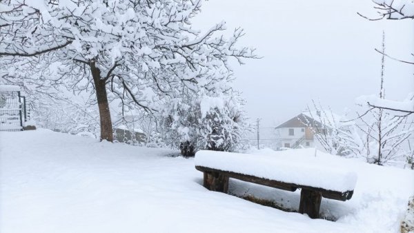 Красива зимна картина в Стара планина. Снимка: Теодора Тарева