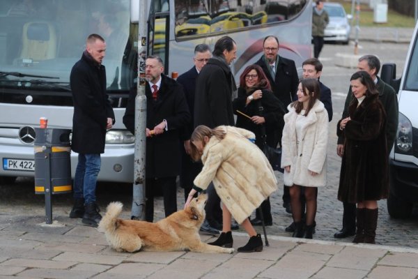 Снимка: Димитър Кьосемарлиев