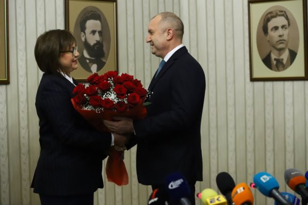 Снимка: БГНЕС