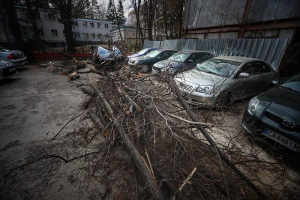 В кадър: Бурният вятър нанесе нови щети в София