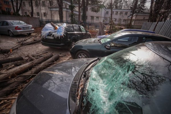 В кадър: Бурният вятър нанесе нови щети в София
