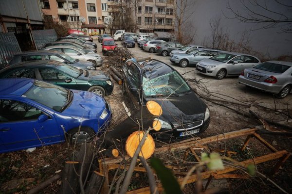 В кадър: Бурният вятър нанесе нови щети в София