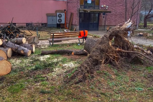 В кадър: Бурният вятър нанесе нови щети в София