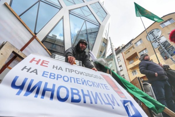 Снимка: Димитър Кьосемарлиев, Dnes.bg