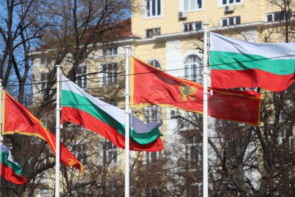 Снимка: Димитър Кьосемарлиев, Dnes.bg
