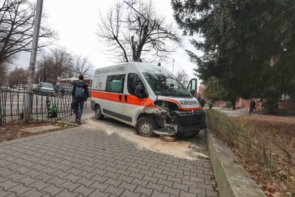 Снимка: Димитър Кьосемарлиев, Dnes.bg