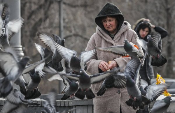 Жена храни гълъбите на улица в руската столица Москва. Снимка: БГНЕС