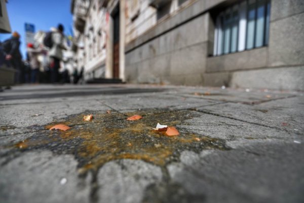 Снимка: Димитър Кьосемарлиев, Dnes.bg