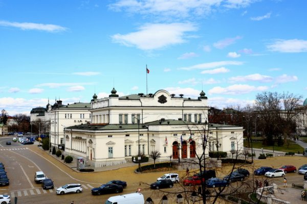 Народното събрание организира на 11 март 2023 г. Ден на отворени врати. Снимка: БГНЕС