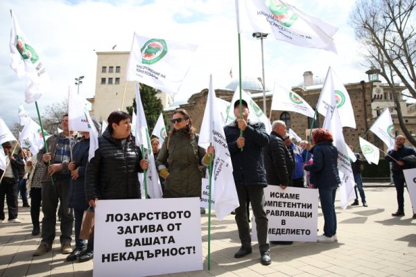 Лозарите организират протест пред президентството заради проблемите в сектора. Снимка: БГНЕС