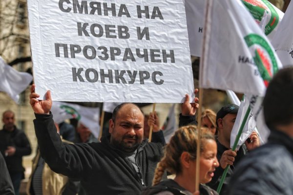 Снимка: Димитър Кьосемарлиев, Dnes.bg