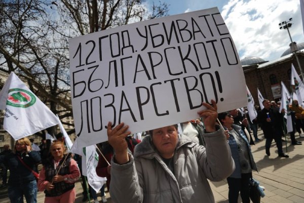 Снимка: Димитър Кьосемарлиев, Dnes.bg