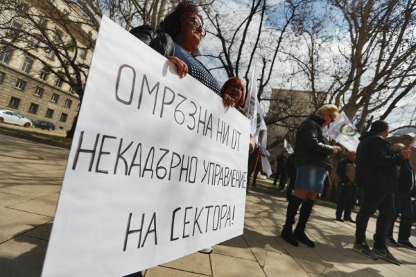 Снимка: Димитър Кьосемарлиев, Dnes.bg