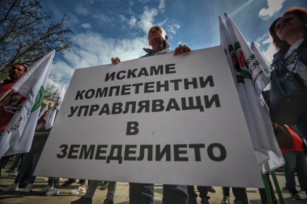 Снимка: Димитър Кьосемарлиев, Dnes.bg