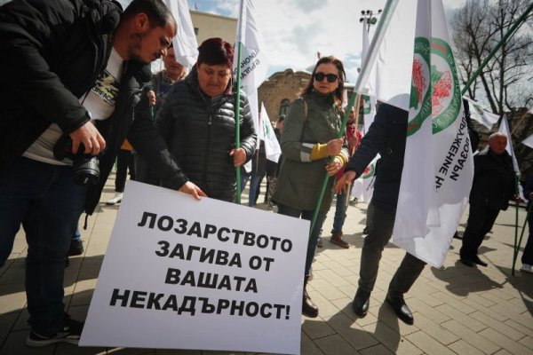 Снимка: Димитър Кьосемарлиев, Dnes.bg