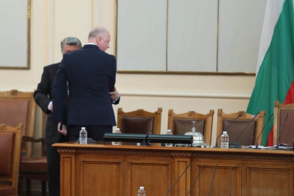 Снимка: Димитър Кьосемарлиев, Dnes.bg