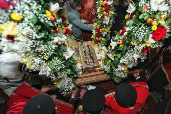 Снимка: Димитър Кьосемарлиев, Dnes.bg