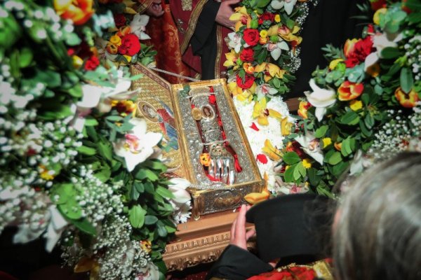 Снимка: Димитър Кьосемарлиев, Dnes.bg