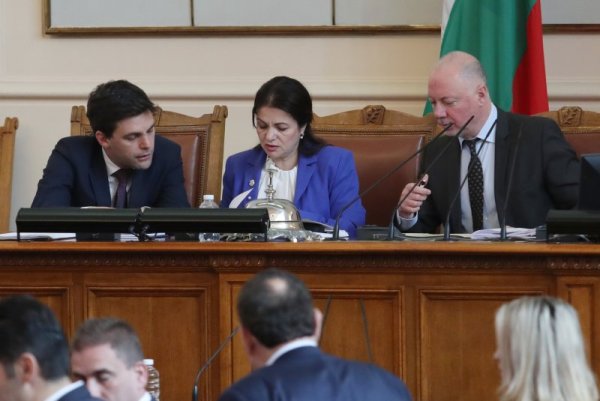 Снимка: Димитър Кьосемарлиев, Dnes.bg