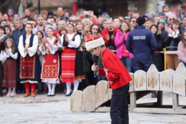Снимка: БГНЕС