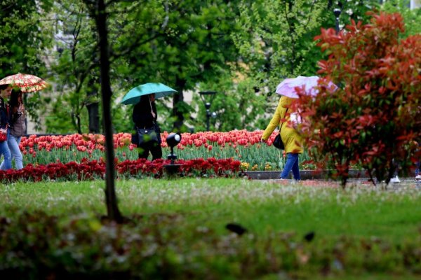Дъждовен пролетен ден в София. Снимка: БГНЕС
