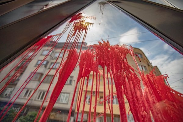 Снимка: Димитър Кьосемарлиев, Dnes.bg