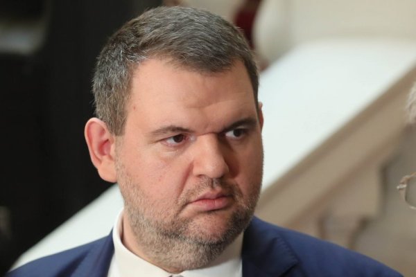 Снимка: Димитър Кьосемарлиев, Dnes.bg