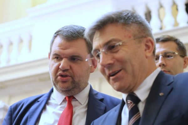 Снимка: Димитър Кьосемарлиев, Dnes.bg