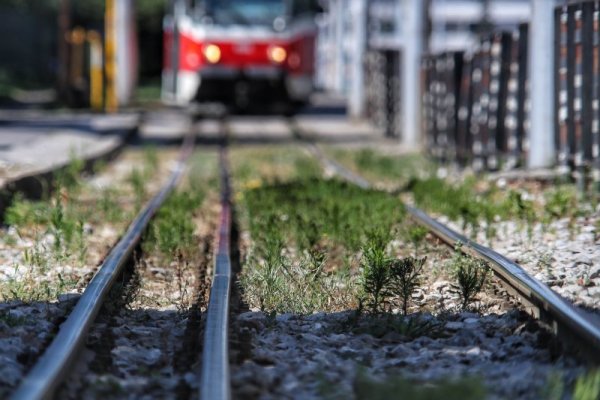 Снимка: Димитър Кьосемарлиев, Dnes.bg